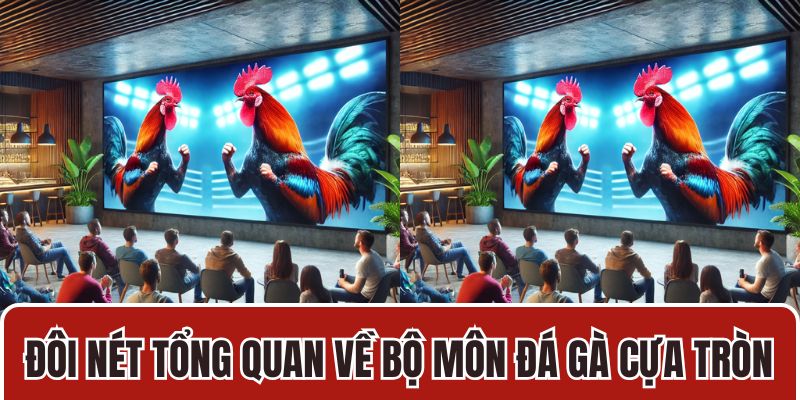 Đôi nét tổng quan về bộ môn đá gà cựa tròn