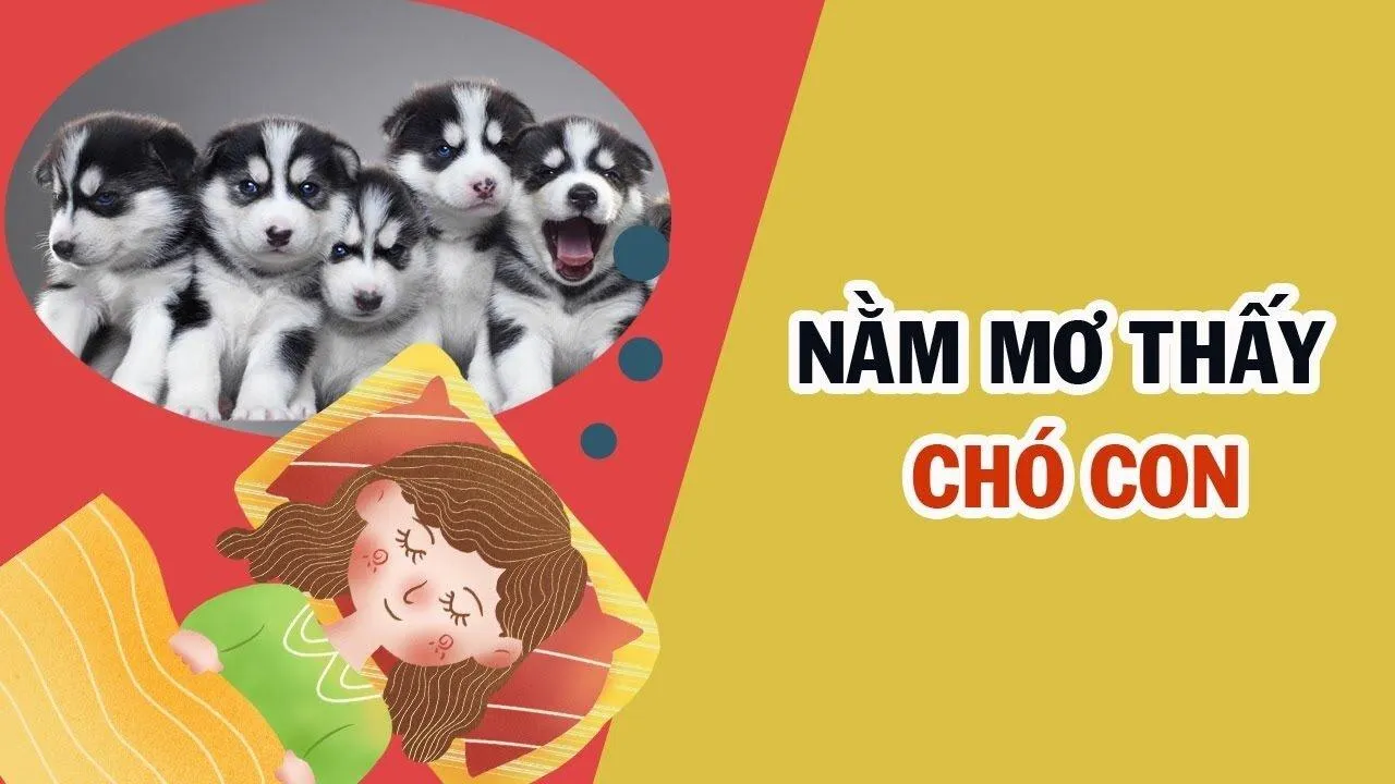 Khám phá ý nghĩa giấc mơ thấy chó con