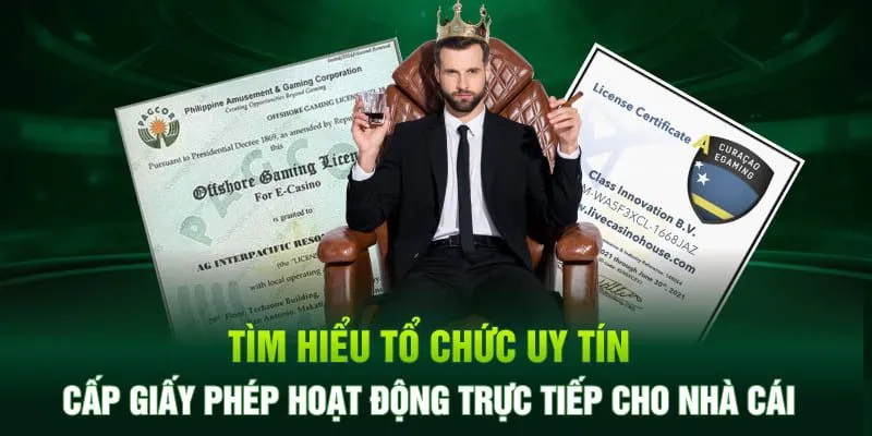 giấy phép hoạt động 69vn là gì